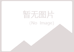 西和县紫山能源有限公司